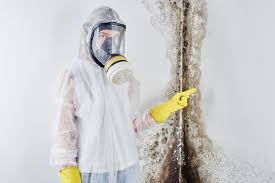 Best Environmental Consulting for Mold Prevention  in Ansonia, CT